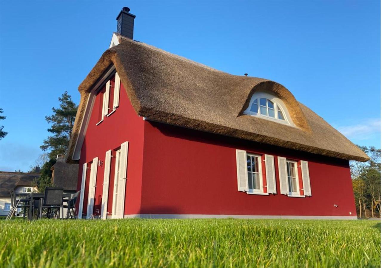 Modernes Reetdach-Ostseeferienhaus Bella Mare, Insel Usedom Mit Sauna, Kamin & Sonnenterrasse Zirchow エクステリア 写真