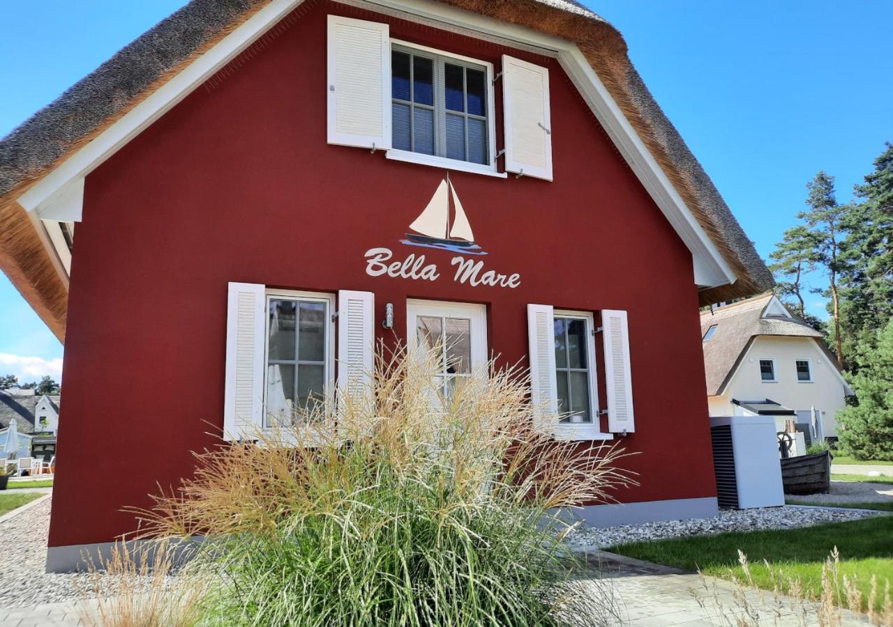 Modernes Reetdach-Ostseeferienhaus Bella Mare, Insel Usedom Mit Sauna, Kamin & Sonnenterrasse Zirchow エクステリア 写真